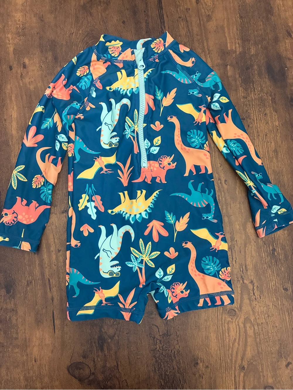 Panama Jack 24M Dinosaur Rash Guard One Piece Swim Suit
